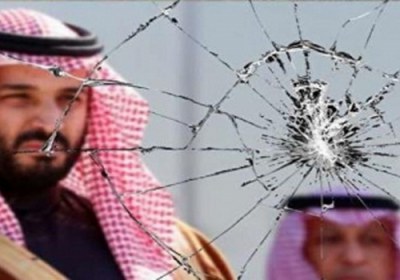 گاو شیردهی آمریکا عربستان