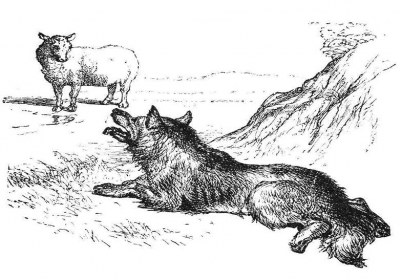 گرگ و گوسفند