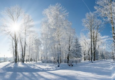 زمستان و درس هایی برای زندگی زمستان