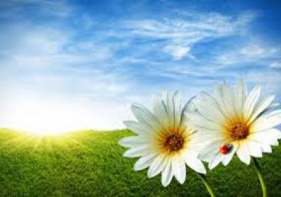 خدا زیباست و زیبایی را دوست میدارد خدا زیباست و زیبایی را دوست میدارد