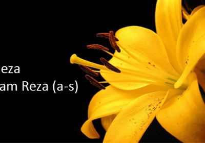 A riqueza do Imam Reza (a-s)