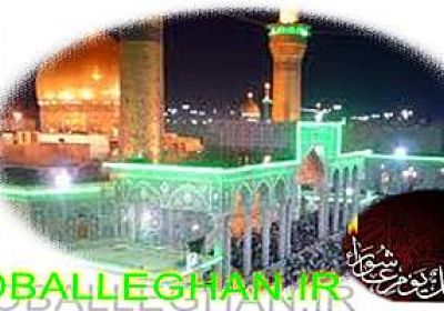 بچه آزمایشگاهی جنین