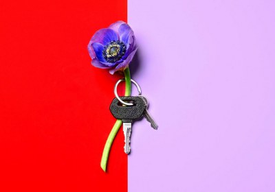 فرصت طلبی برای امر به معروف و نهی از منکر امر به معروف و نهی از منکر