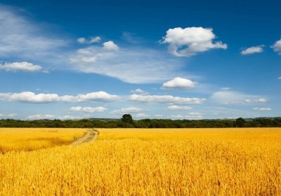 ماه رمضان، فرصتی زیبا برای بندگی دنیا مزرعه آخرت است