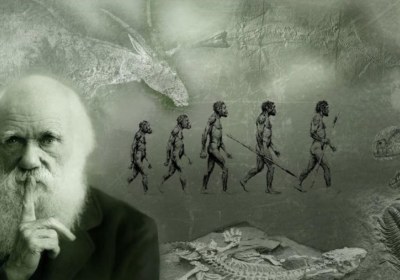  نظریه ی داروین