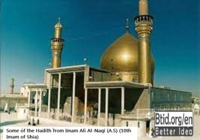 Some of the Hadith from Imam Ali Al-Naqi (A.S) (10th Imam of Shia)