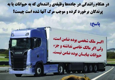 حکم تصادف با حیوانات جاده ای احکام حیوانات