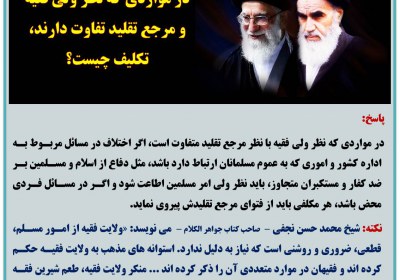 تقلید در موارد تفاوت نظر ولی فقیه و مرجع تقلید ولایت فقیه