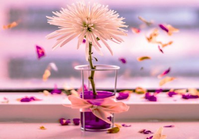 همسرم نسبت به رابطهام با خانمهای دیگر حساس شده! گل