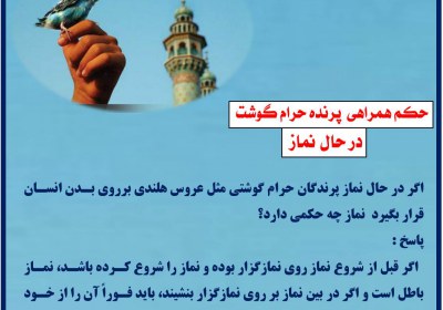 حکم همراهی پرنده حرام گوشت در حال نماز نماز