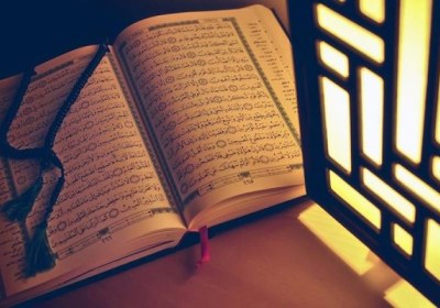 نافذة على عالم الذر