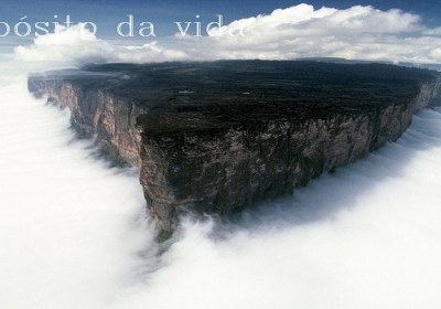 O propósito da vida O propósito da vida
