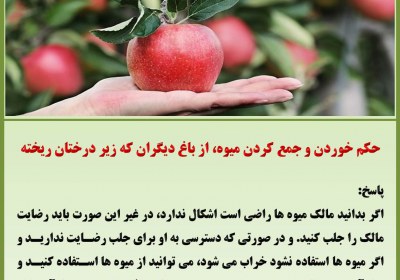 حکم خوردن و جمع کردن میوه، از باغ دیگران که زیر درختان ریخته حق الناس