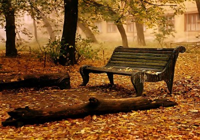 سوءظنّ و وقوع مشکلات پاییز