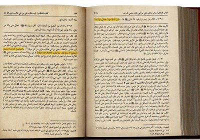 ملا علی قادر و تواتر حدیث غدیر غدیر