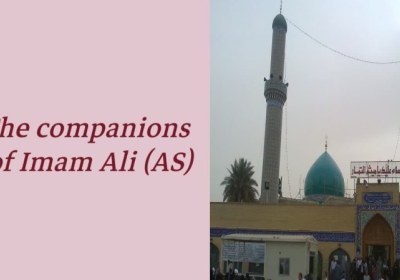The companions of Imam Ali (AS)