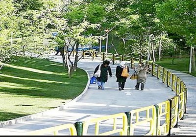 آیا پارک‌های تهران زنانه - مردانه می‌شود؟