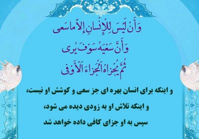 انسان تلاش