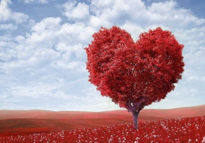 عاشقی عاشقی