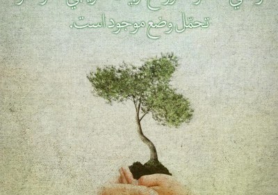 درخت