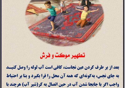 تطهیر موکت و فرش طهارت