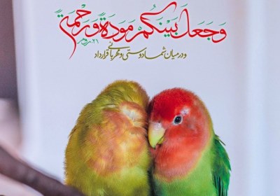 معنای غیرت زنان در کلام امیر مومنان 