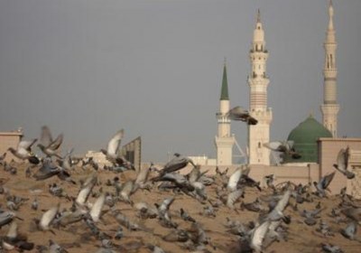 روزشمار وفات رسول خدا روزشمار وفات رسول خدا