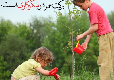 دو کودک در حال کاشت درخت