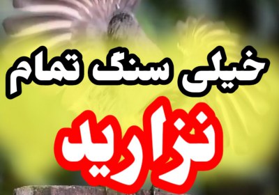 لزوم پرهیز از افراط در محبت