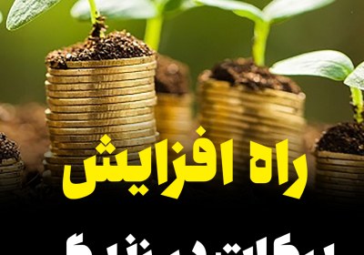 راه افزایش برکات در زندگی