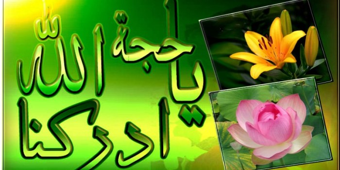 الإمام المهدي عليه السلام 