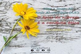 Disse o Imam Ali  Amir Al-múminin