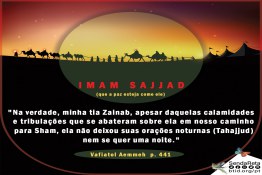  Senhora Zainab (a.s.) e calamidades no caminho de Sham  