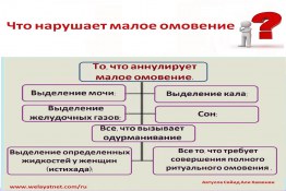 Действия, аннулирующие малое омовение