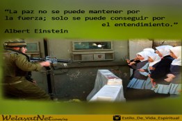 “La paz no se puede mantener por  la fuerza; solo se puede conseguir por el entendimiento.” Albert Einstein