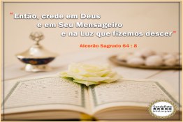 crede em Deus e em Seu Mensageiro e na Luz que fizemos descer