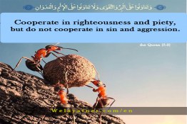 Cooperate Righteousness piety Sin and Aggression