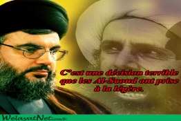 Exécution de Cheikh Nimr