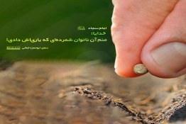 منم آن ناتوان شمرده‌ای ....