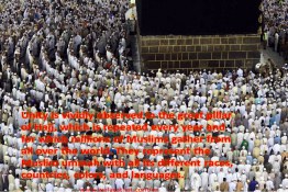 Hajj & Islamic Unity 