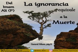 La ignorancia y la necedad