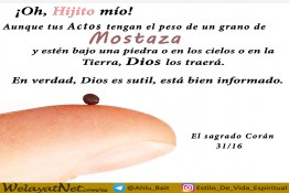 el grano de mostaza