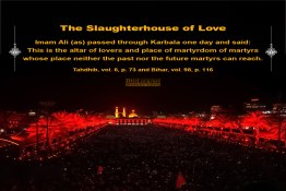 The Slaughterhouse of Love