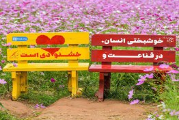 راههای رسیدن به خوشبختی