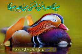 ایه 138 بقره