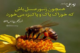 غذای پاکیزه