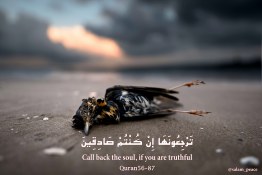 Call back the soul