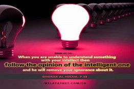 Follow the Opinion  Intelligent  Intellect