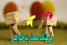 فرهنگ معذرت خواهی