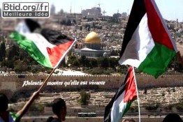  La Palestine montre qu'elle est vivante